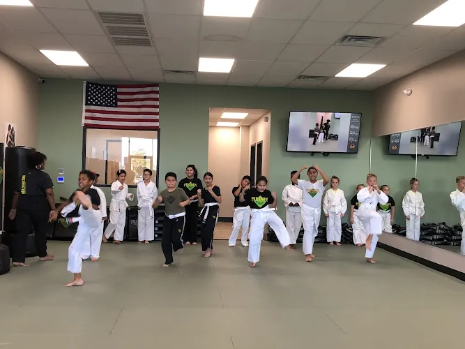 Premier Martial Arts Schertz