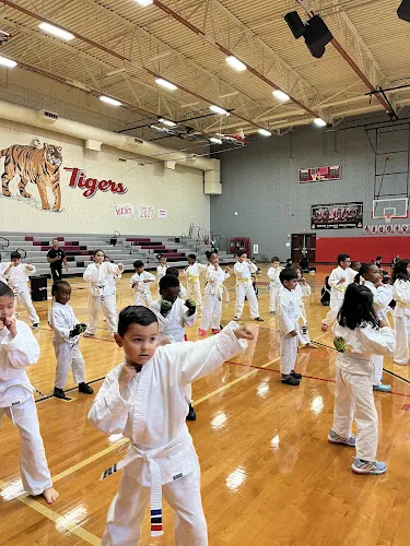 Premier Martial Arts Sugar Land