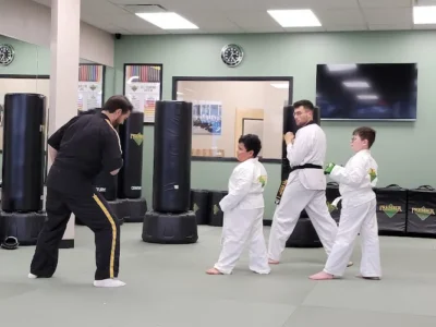 Premier Martial Arts West Arlington