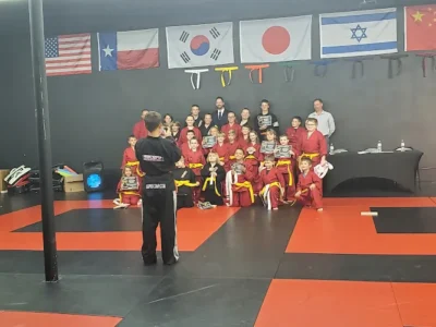 ProComp Sport Martial Arts