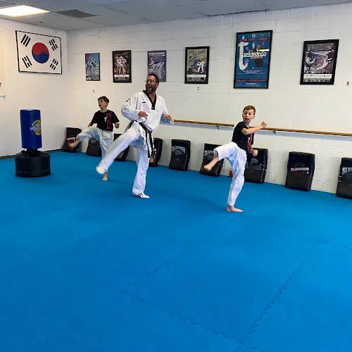 Pro Taekwondo Roanoke