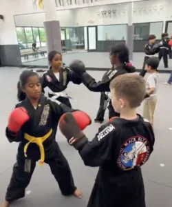 Professional Black Belt Academy - Frisco