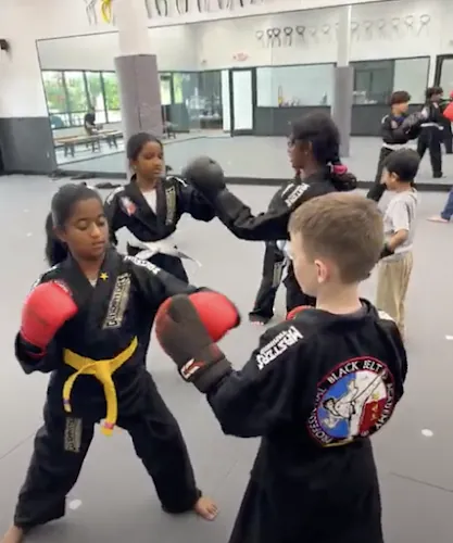 Professional Black Belt Academy - Frisco
