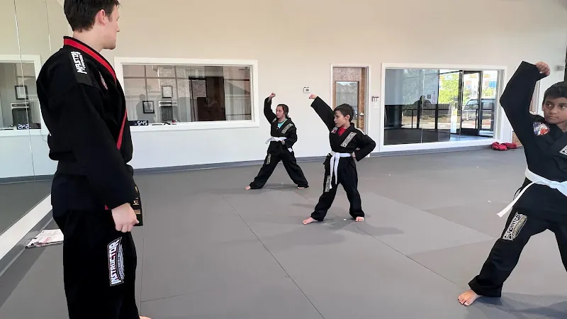 Professional Black Belt Academy - McKinney