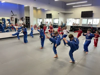 Professional Black Belt Academy - Prosper