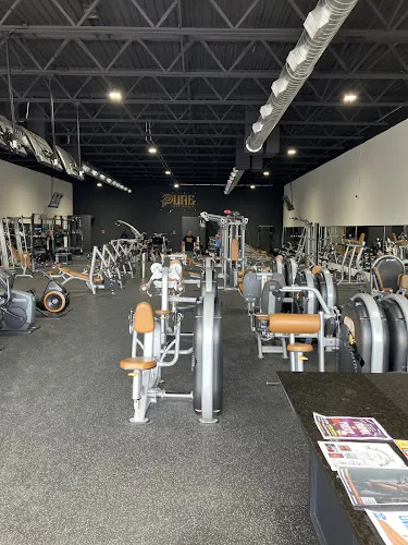 Pure Fitness