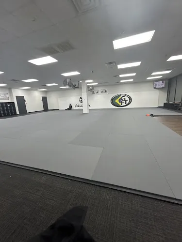 Raízes Brazilian Jiu Jitsu