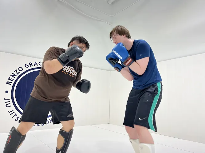 Renzo Gracie Pearland