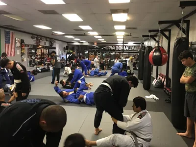 SFS MMA