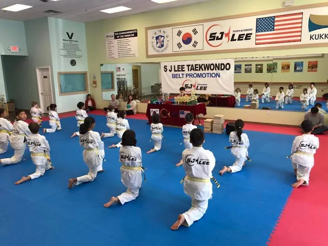 S J LEE TAEKWONDO