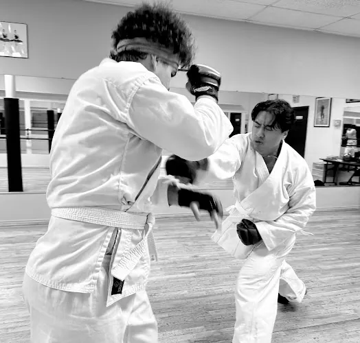 Satori Karate Academy