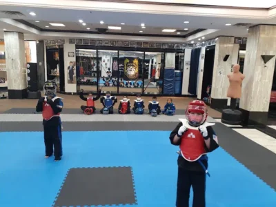 Screaming Eagles Martial Arts