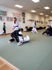 Semper Fortis Jiu Jitsu