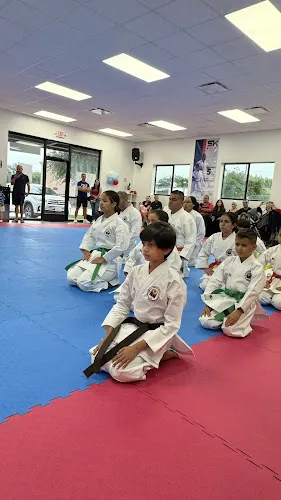 Shin Ku Karate