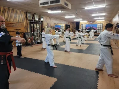 Shorin Ryu Karate Academy