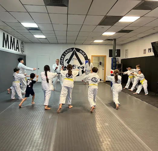 Sugar Land Mixed Martial Arts