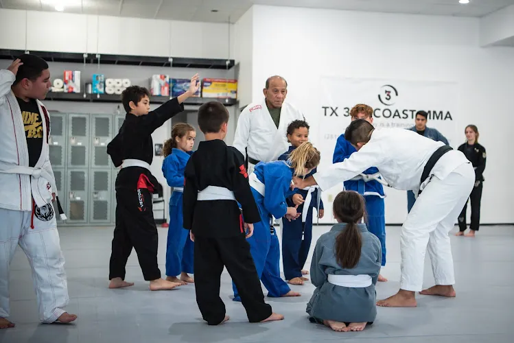 TX 3RD COAST MMA