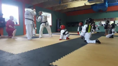 Taekwondo after school