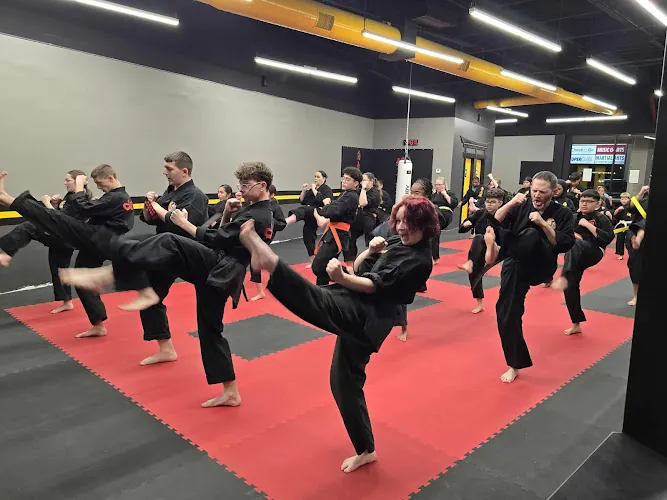 Team Karate Academy