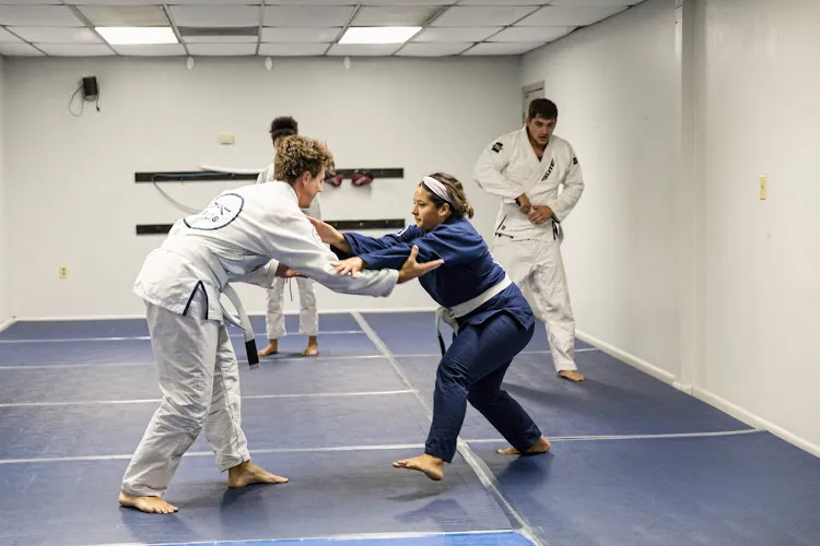 Telos Martial Arts- Gracie Allegiance TX