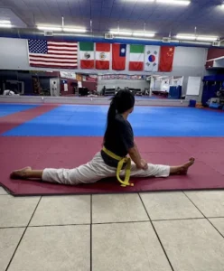 Texas Forge Taekwondo
