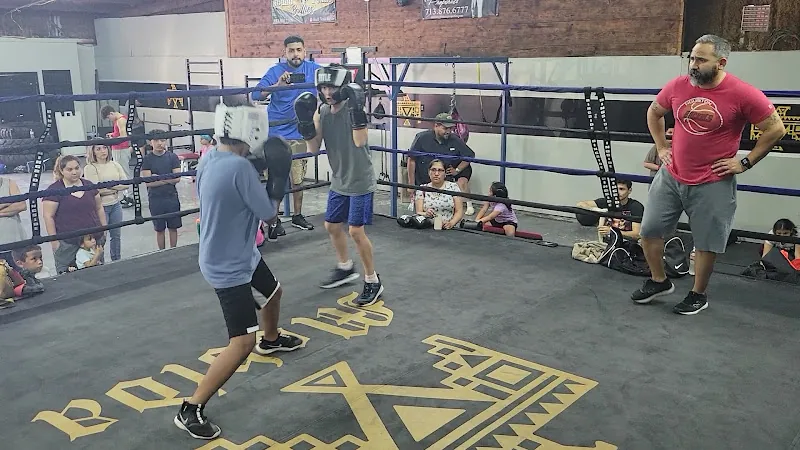 Texas Hard Hitters Boxing Club Powered By Movida