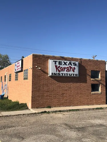 Texas Karate Institute