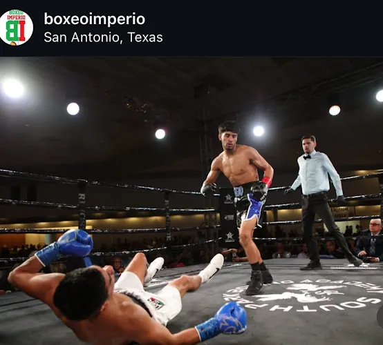 The Stablemate Boxing Gym