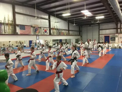 The Texas Academy of Karate