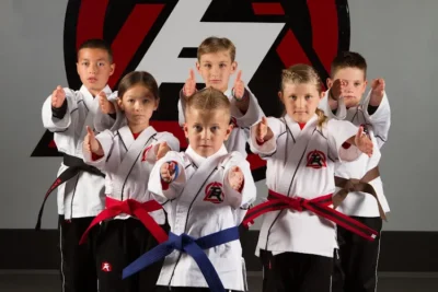Tiger-Rock Martial Arts of McKinney