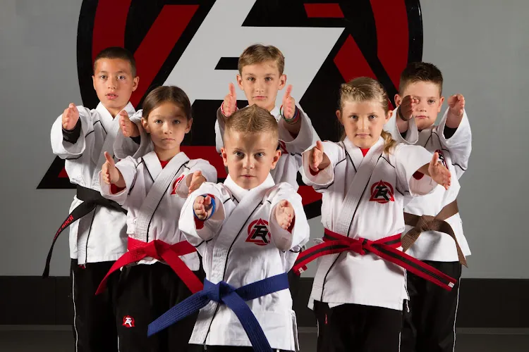 Tiger-Rock Martial Arts of McKinney