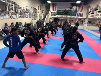 Tiger Fury Kajukenbo