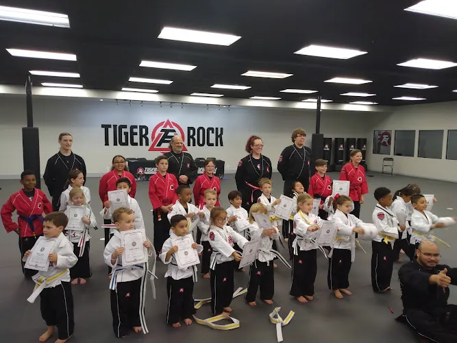 Tiger Rock Martial Arts of Beaumont