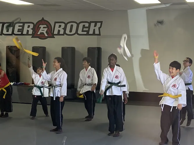 Tiger Rock Martial Arts of The Woodlands North