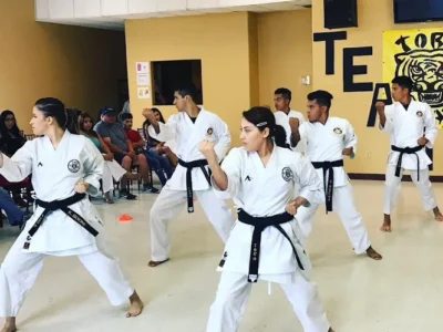 Tora Karate