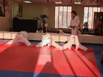 Vargas Taekwondo EP