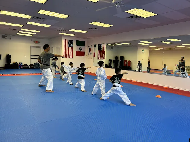 Victor Estrada TKD Olympic Academy
