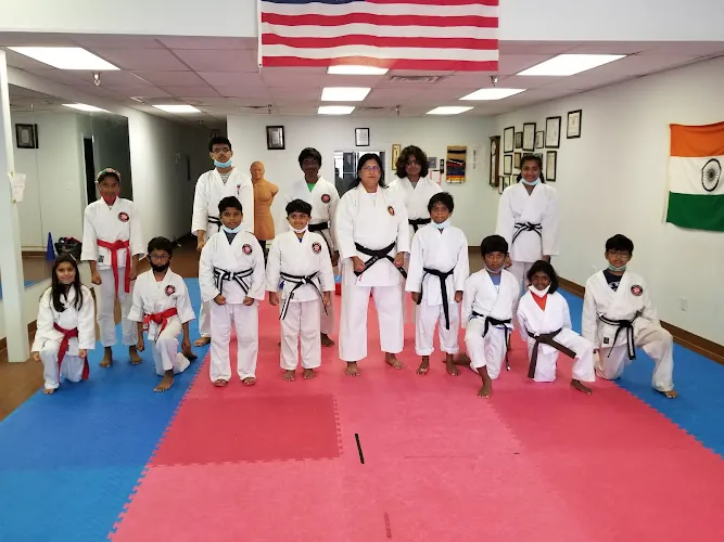 Vision Karate International