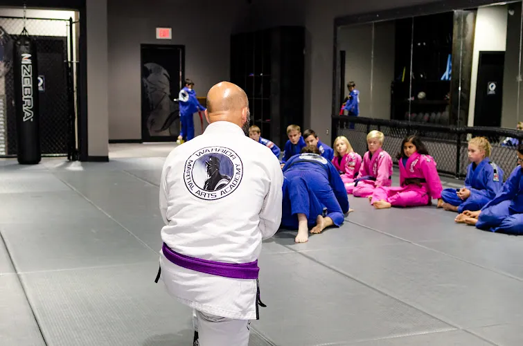 Warrior Martial Arts Academy Little Elm