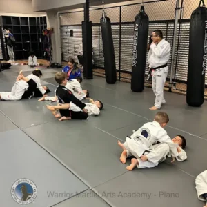 Warrior Martial Arts Academy Plano