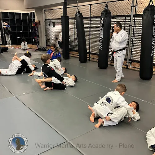 Warrior Martial Arts Academy Plano