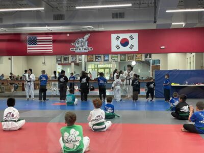White Tiger Taekwondo