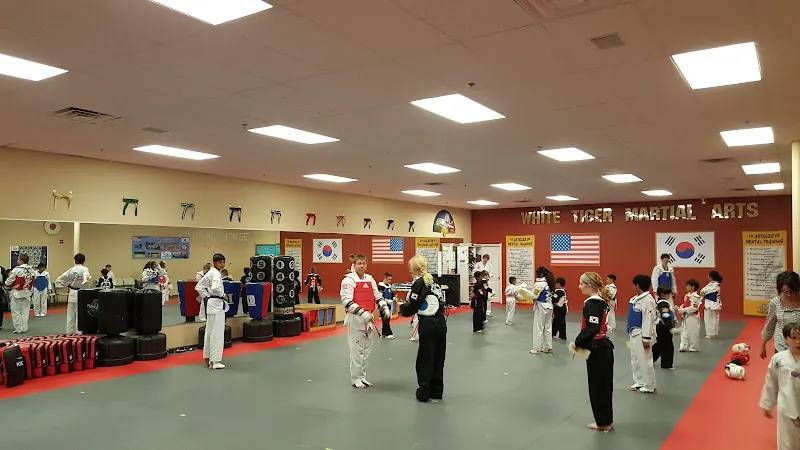 White Tiger Taekwondo