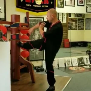 Wing Chun Kung Fu of Dallas