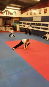 Wushu Taichi Federation Inc