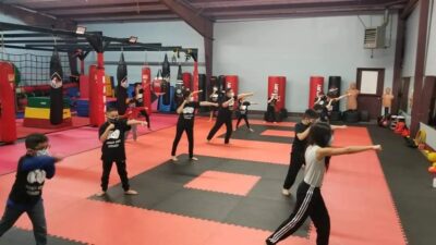 Apex Karate Academy