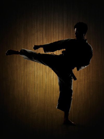 Karate school