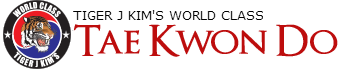 Tiger J Kim's World Class Taekwondo 5