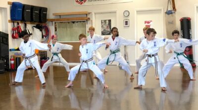 Sun Dragon Seido Karate & Self Defense, NFP