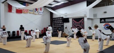 Farfan's Taekwondo